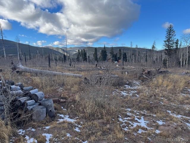 Lot 2544 Petito Drive Fort Garland CO 81133