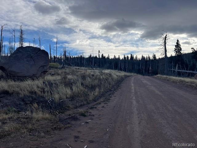Lot 2544 Petito Drive Fort Garland CO 81133