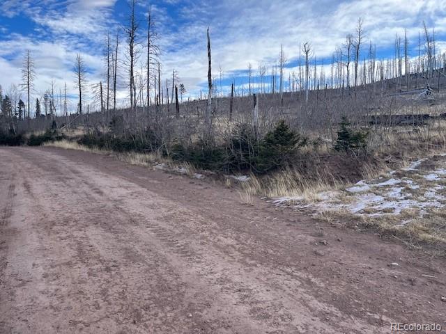Lot 2544 Petito Drive Fort Garland CO 81133