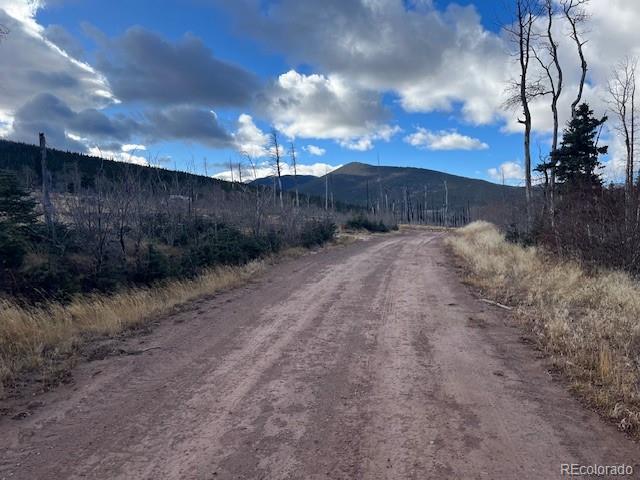 Lot 2544 Petito Drive Fort Garland CO 81133