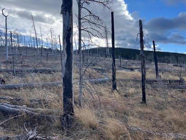 Lot 2544 Petito Drive Fort Garland CO 81133