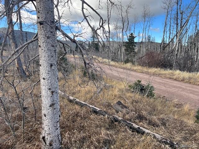 Lot 2544 Petito Drive Fort Garland CO 81133