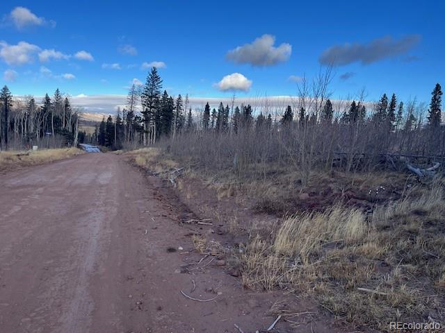 Lot 2544 Petito Drive Fort Garland CO 81133