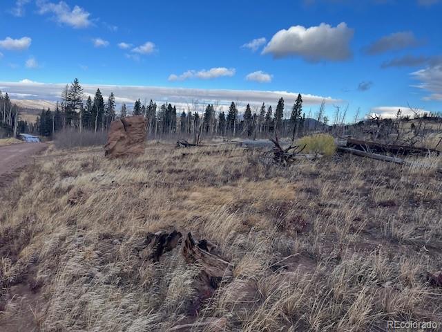 Lot 2544 Petito Drive Fort Garland CO 81133