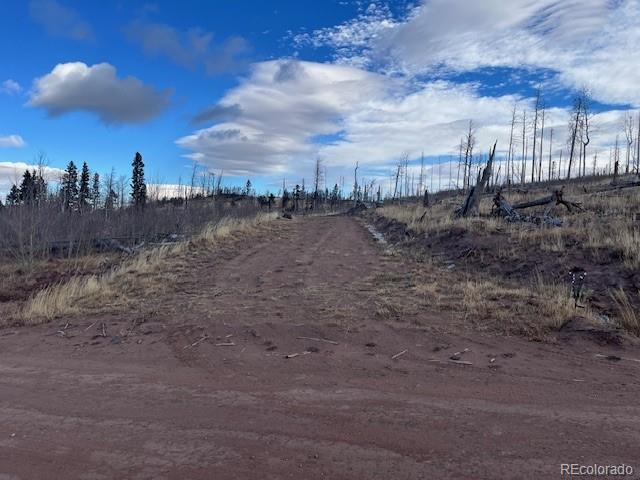 Lot 2544 Petito Drive Fort Garland CO 81133