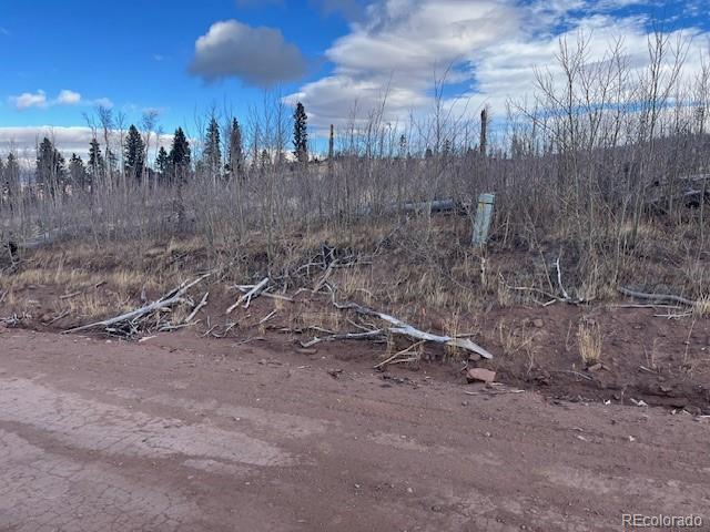 Lot 2544 Petito Drive Fort Garland CO 81133