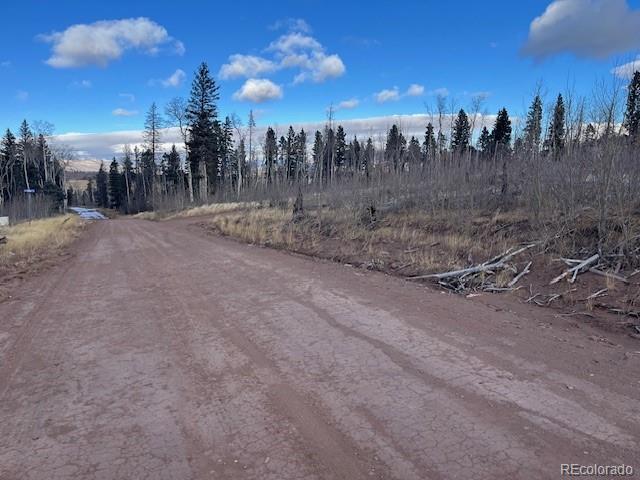 Lot 2544 Petito Drive Fort Garland CO 81133
