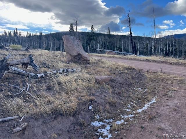 Lot 2544 Petito Drive Fort Garland CO 81133
