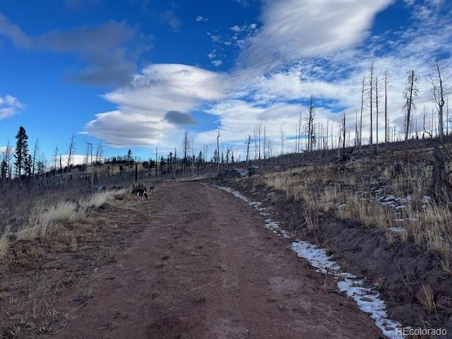 Lot 2544 Petito Drive Fort Garland CO 81133