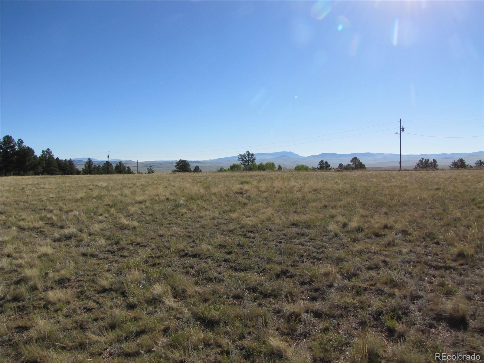 1250 Bolster Drive Hartsel CO 80449
