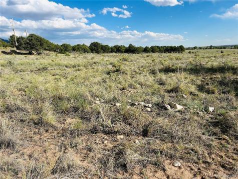 Lots 2-3 Blk 59 Crestone CO 81131