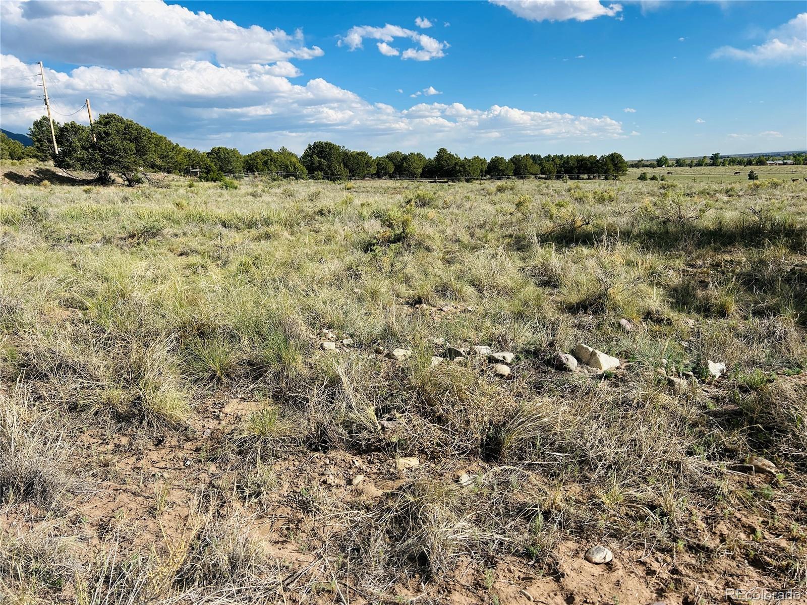 Lots 2-3 Blk 59 Crestone CO 81131