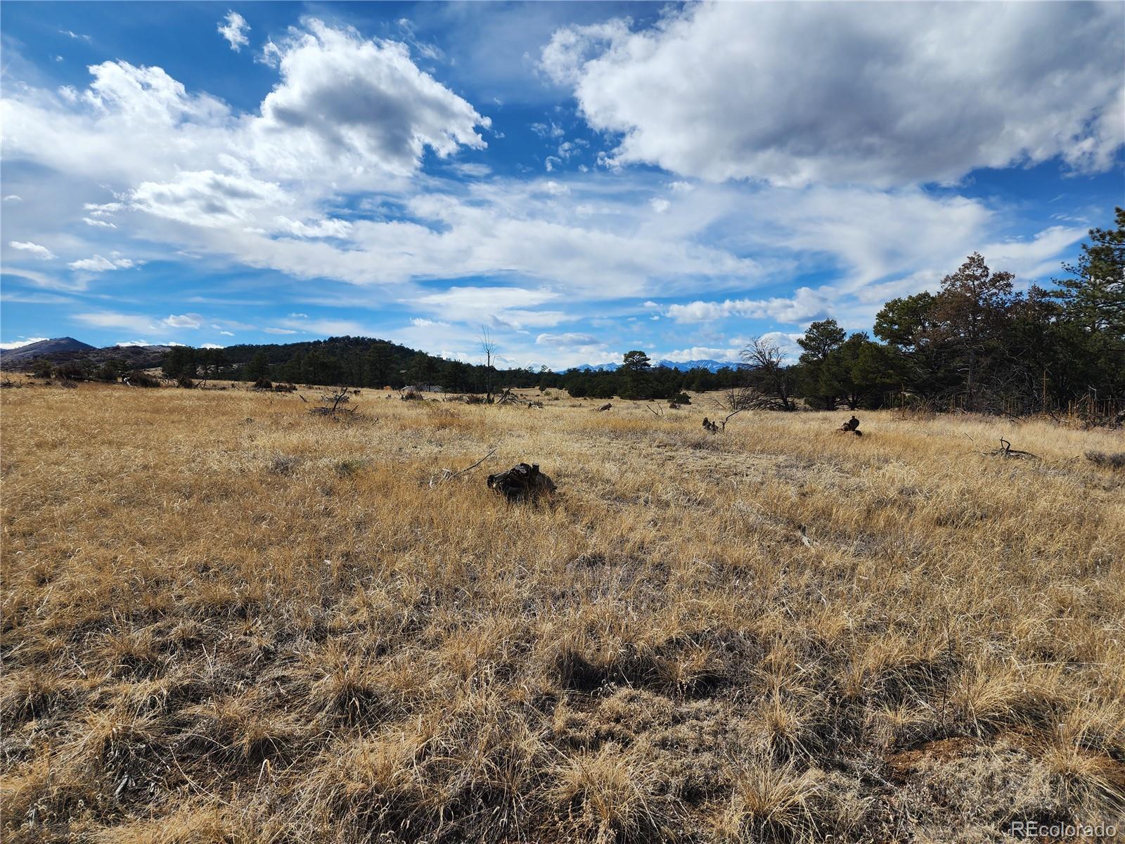 Pinon Cotopaxi CO 81223