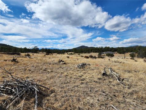Pinon Cotopaxi CO 81223