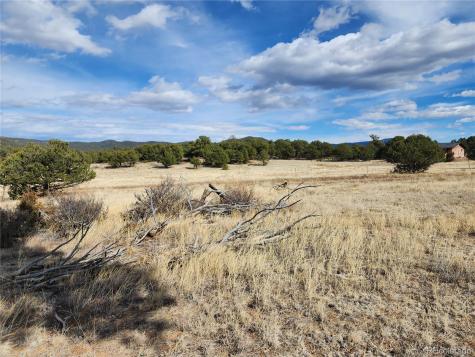 Pinon Cotopaxi CO 81223