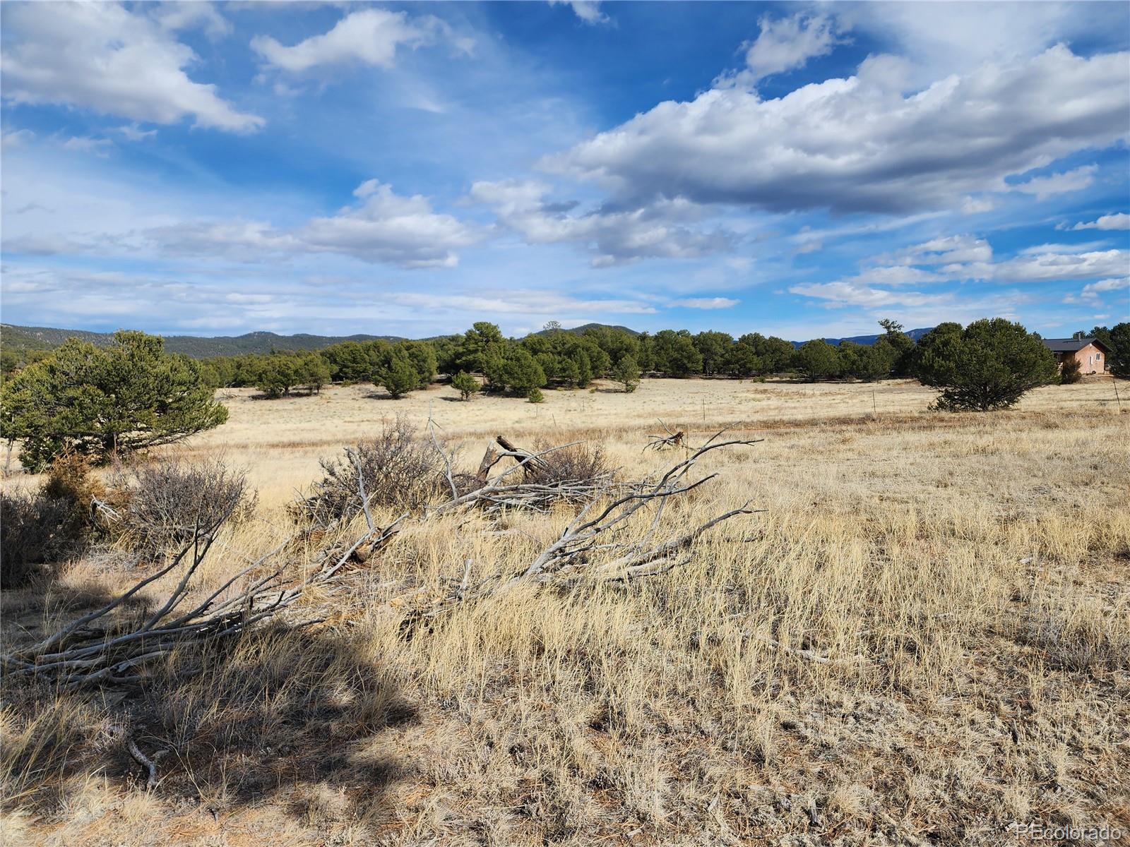 Pinon Cotopaxi CO 81223