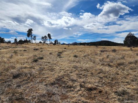 Pinon Cotopaxi CO 81223