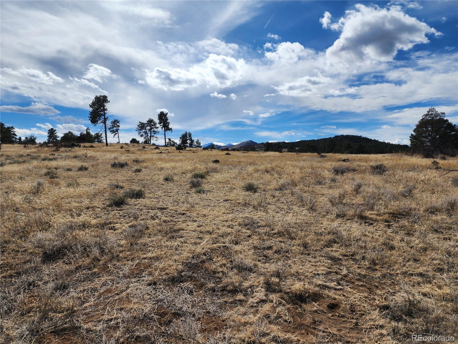 Pinon Cotopaxi CO 81223