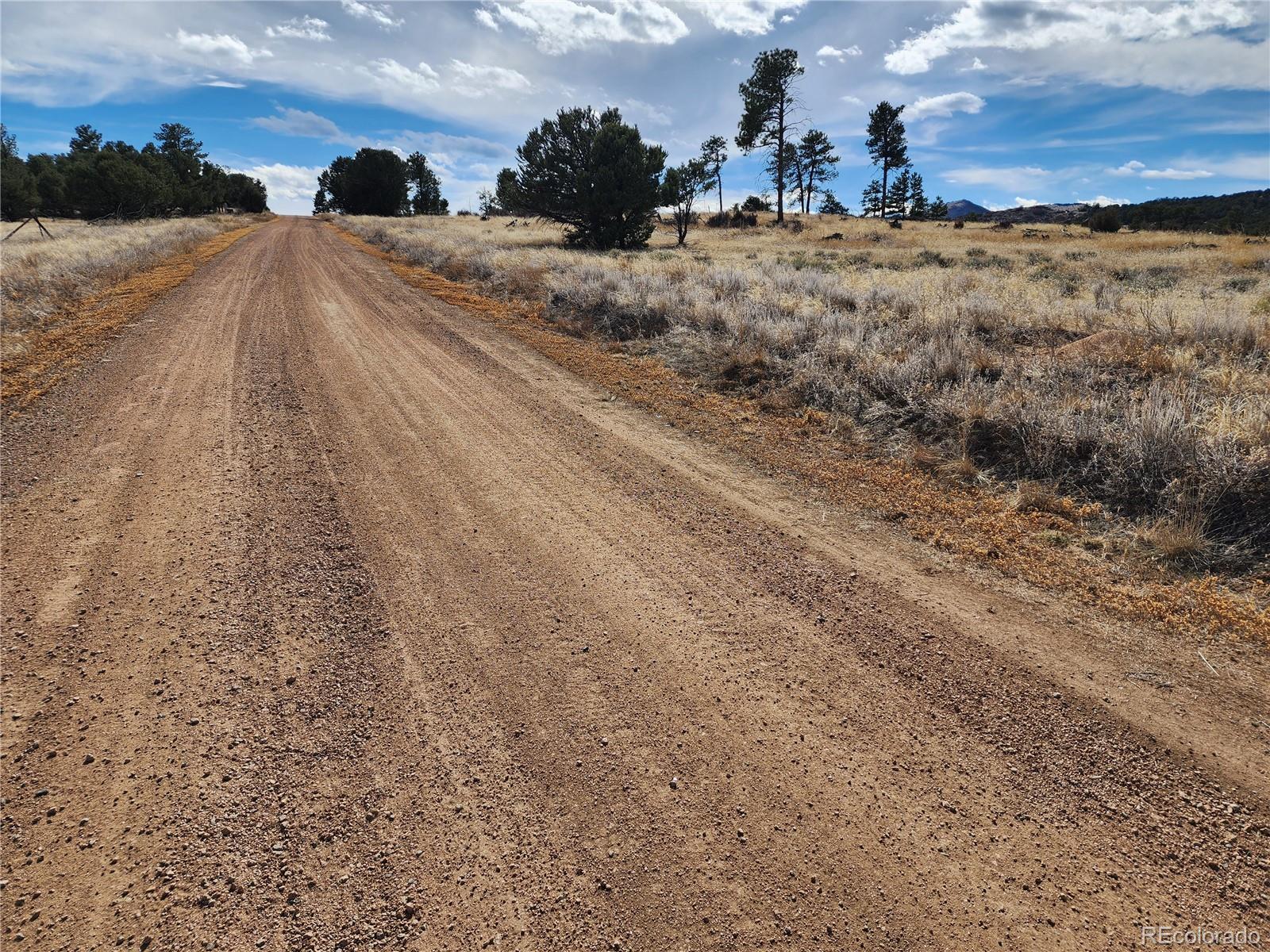 Pinon Cotopaxi CO 81223