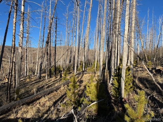 Lot 1502 Vonheyl Lane Fort Garland CO 81133