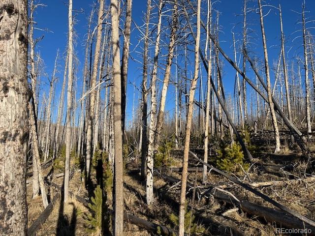 Lot 1502 Vonheyl Lane Fort Garland CO 81133