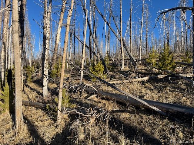 Lot 1502 Vonheyl Lane Fort Garland CO 81133