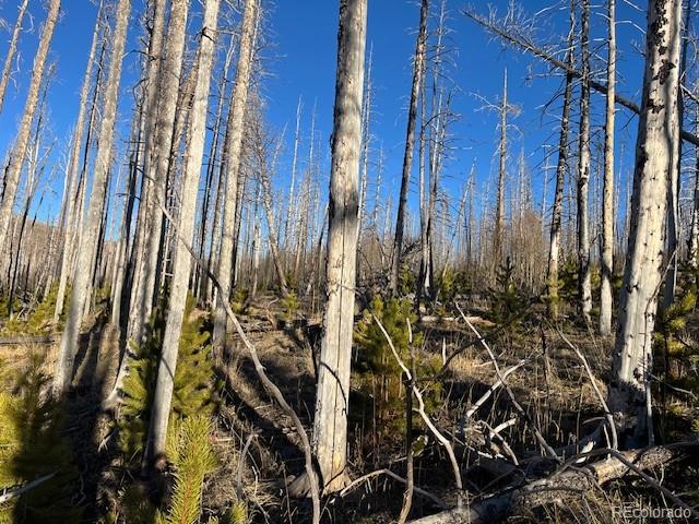 Lot 1502 Vonheyl Lane Fort Garland CO 81133