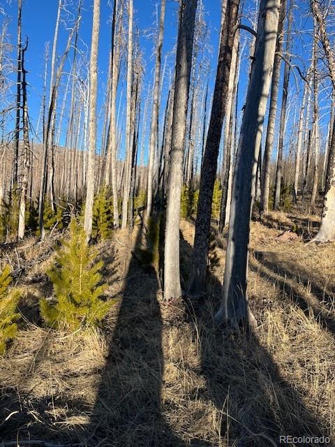 Lot 1502 Vonheyl Lane Fort Garland CO 81133