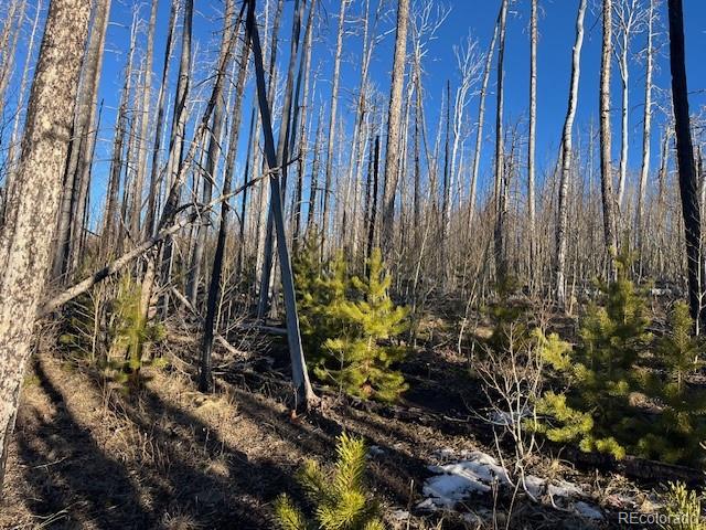 Lot 1502 Vonheyl Lane Fort Garland CO 81133