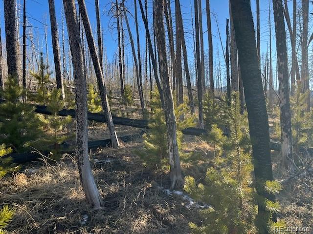 Lot 1502 Vonheyl Lane Fort Garland CO 81133