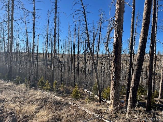Lot 1502 Vonheyl Lane Fort Garland CO 81133