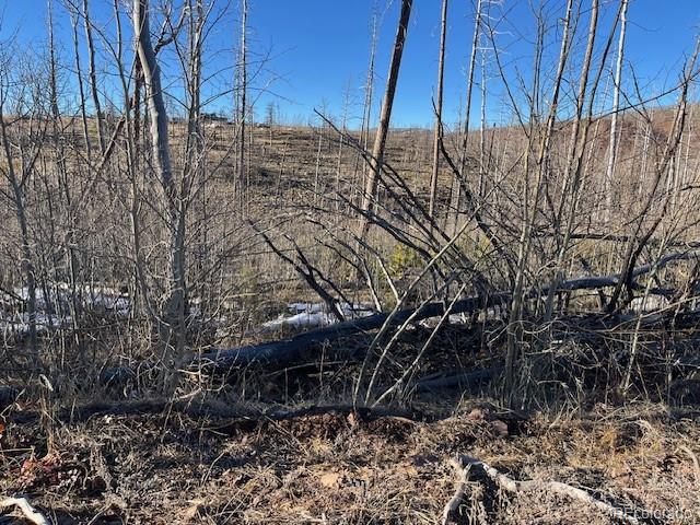 Lot 1502 Vonheyl Lane Fort Garland CO 81133