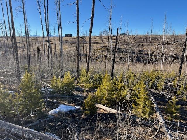 Lot 1502 Vonheyl Lane Fort Garland CO 81133