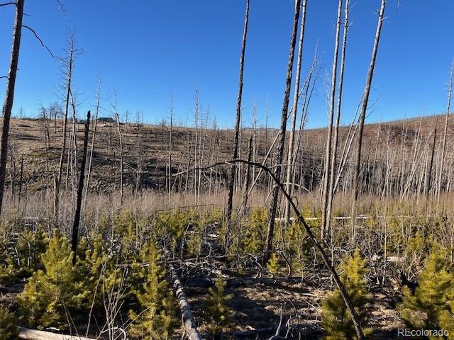 Lot 1502 Vonheyl Lane Fort Garland CO 81133