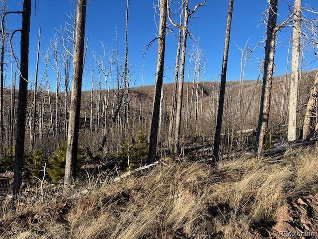 Lot 1502 Vonheyl Lane Fort Garland CO 81133