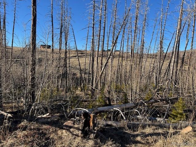Lot 1502 Vonheyl Lane Fort Garland CO 81133