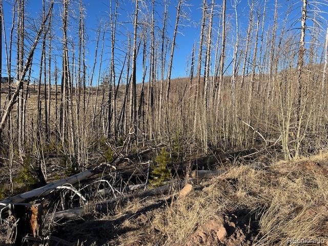 Lot 1502 Vonheyl Lane Fort Garland CO 81133