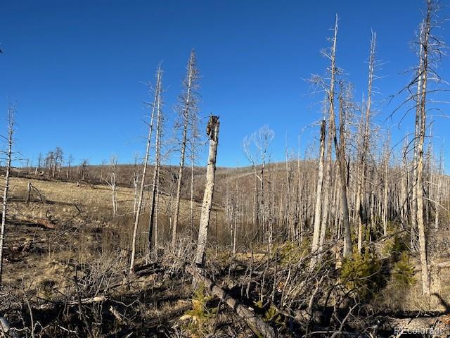 Lot 1502 Vonheyl Lane Fort Garland CO 81133