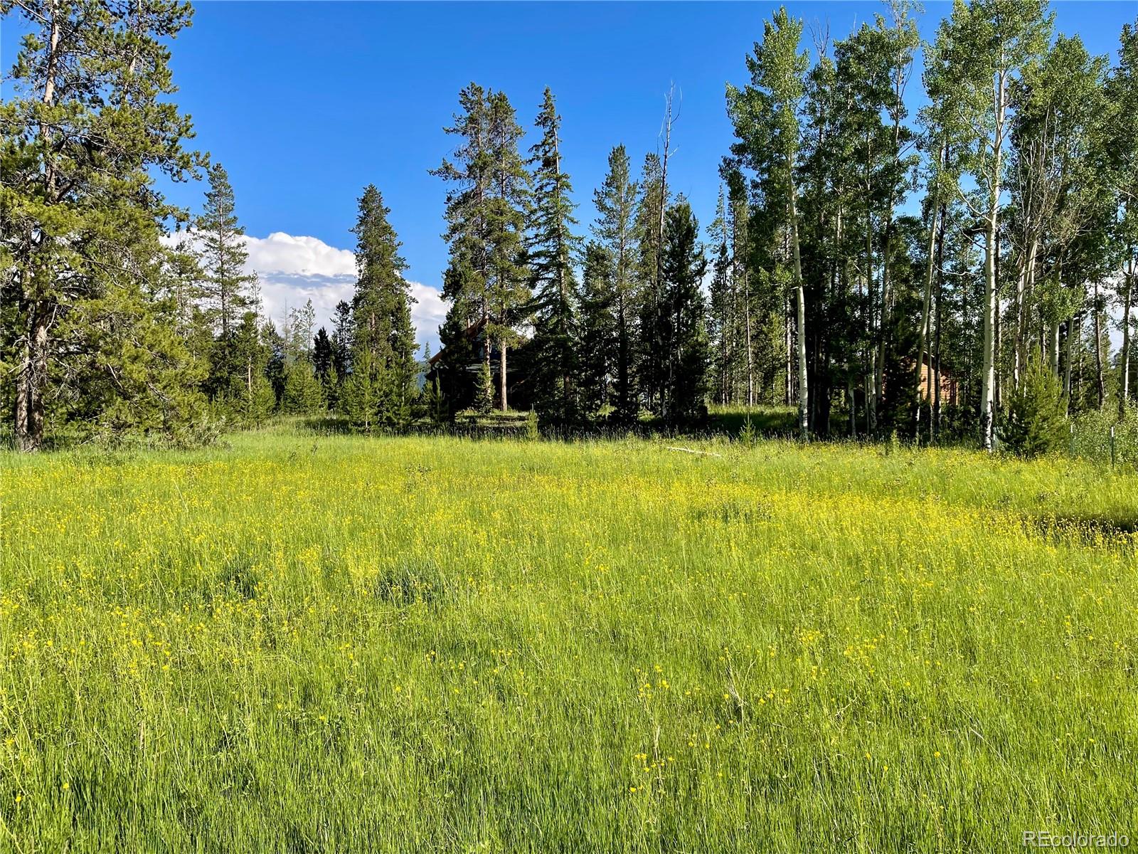 1680 N Cr-491 Road Grand Lake CO 80447