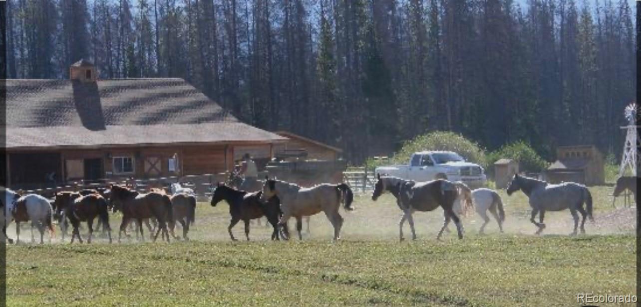 1680 N Cr-491 Road Grand Lake CO 80447