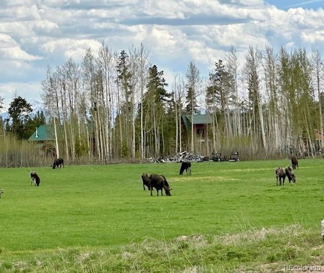 1680 N Cr-491 Road Grand Lake CO 80447