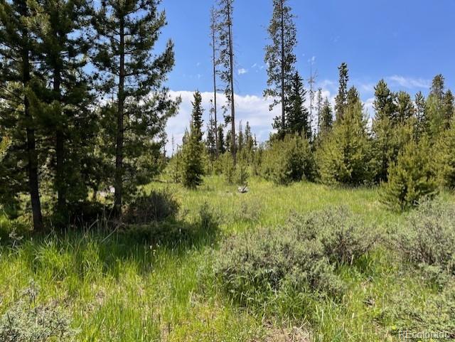 1680 N Cr-491 Road Grand Lake CO 80447