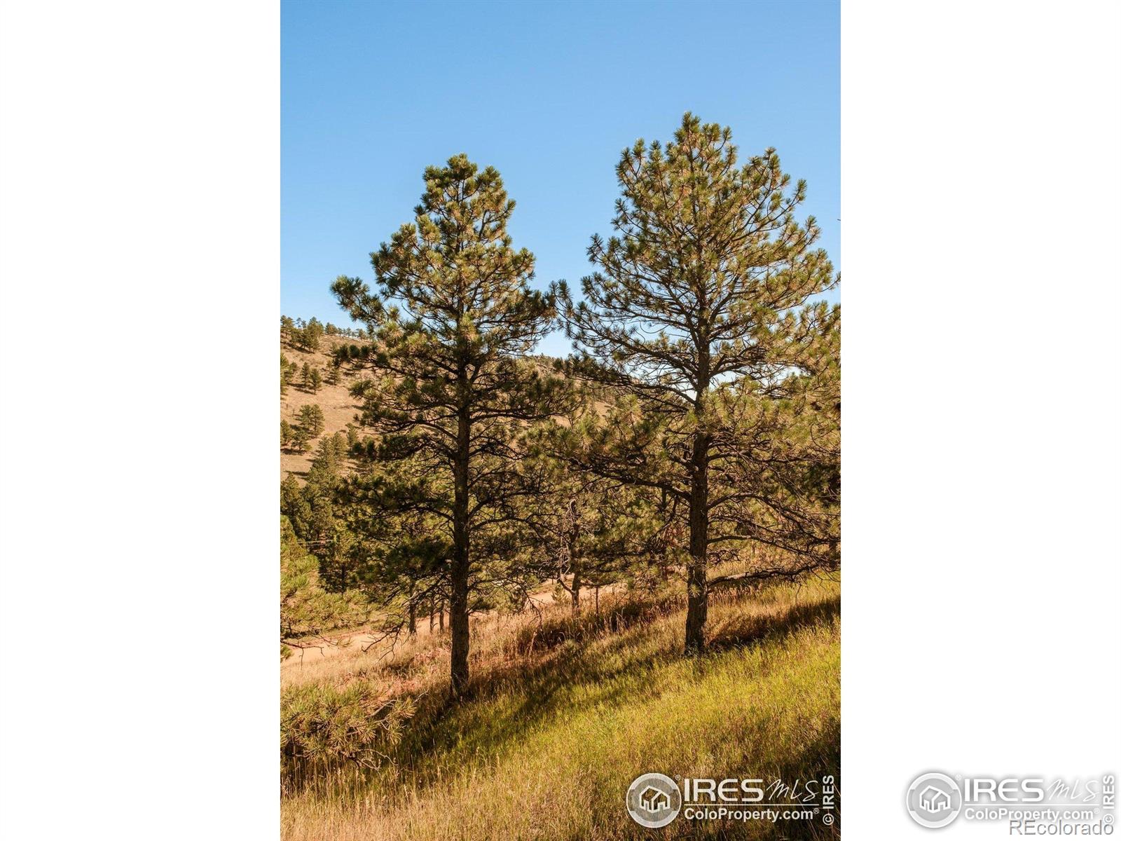 6365 Red Hill Road Boulder CO 80302