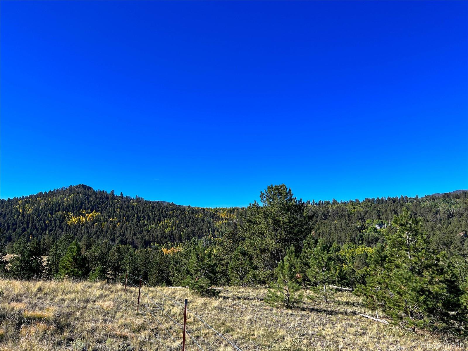 539 Tapedero Road Hartsel CO 80449
