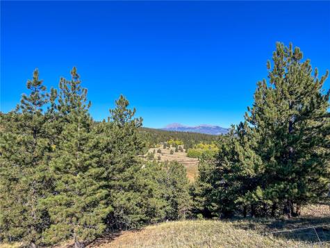 539 Tapedero Road Hartsel CO 80449