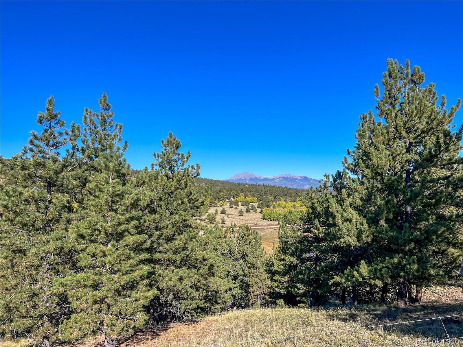 539 Tapedero Road Hartsel CO 80449