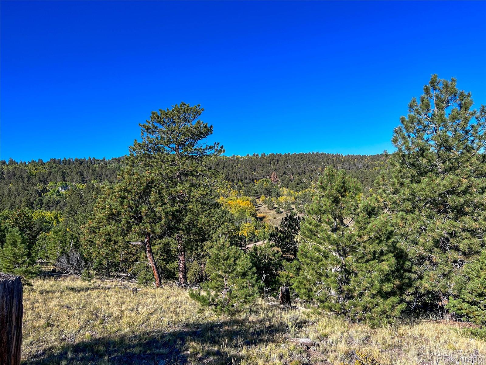 539 Tapedero Road Hartsel CO 80449
