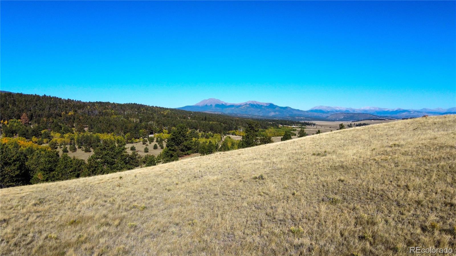 539 Tapedero Road Hartsel CO 80449
