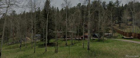 714 N Pine Drive Bailey CO 80421