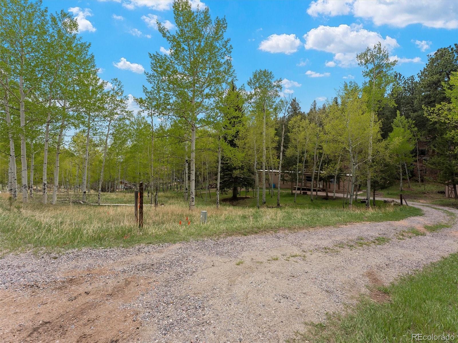 714 N Pine Drive Bailey CO 80421